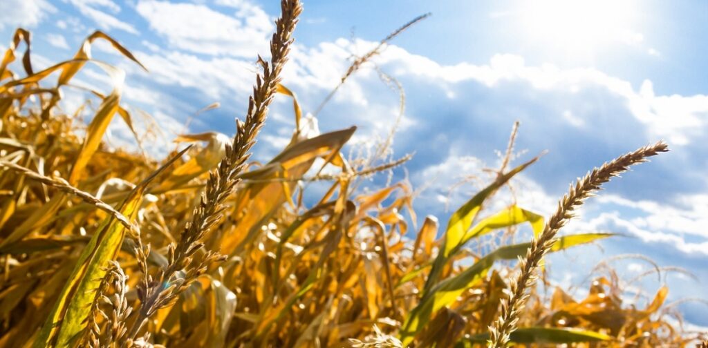 Długotrwałe upały nadchodzą: Stolica mogła by doświadczyć temperatur powyżej 30°C
